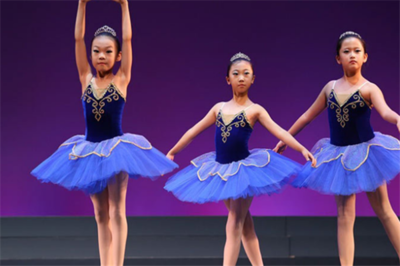 舞动青春旋律，绽放艺术之花——蓓蕾舞蹈与歌唱表演服务全解析