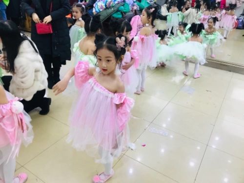 曼丽少儿舞蹈与淘学培训 儿童舞蹈表演服务全面解析